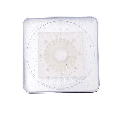 LED Hand Shower Head  TM-SD-LT001